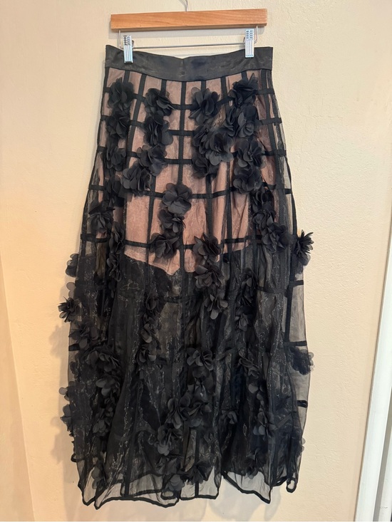 Source Unknown Dresses & Skirts - Gothic Black Floral Fairy Appliqué Tulle Maxi Skirt W/Nude Shorts